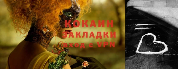 дживик Дмитров