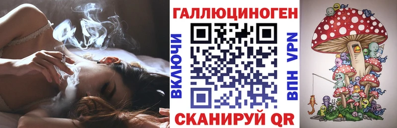Галлюциногенные грибы Psilocybe  Купить закладки  Кировск 